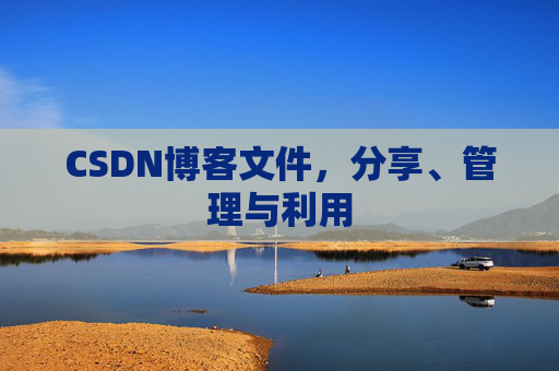 CSDN博客文件，分享、管理与利用